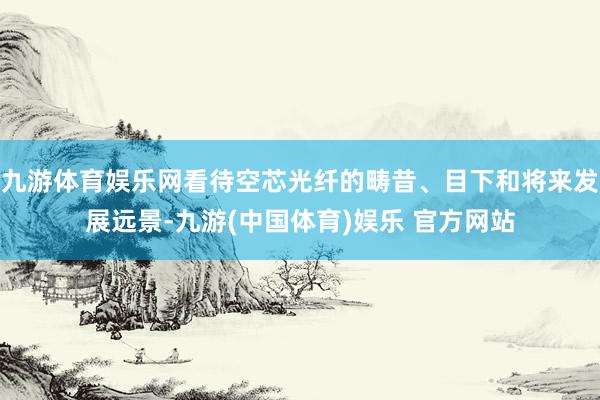 九游体育娱乐网看待空芯光纤的畴昔、目下和将来发展远景-九游(中国体育)娱乐 官方网站