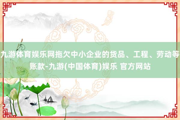 九游体育娱乐网拖欠中小企业的货品、工程、劳动等账款-九游(中国体育)娱乐 官方网站