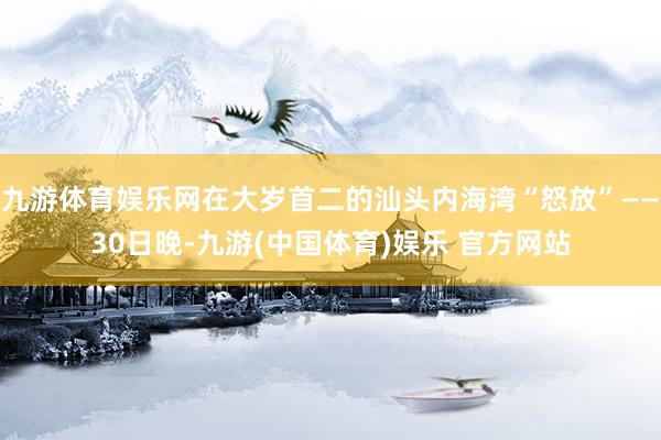 九游体育娱乐网在大岁首二的汕头内海湾“怒放”——30日晚-九游(中国体育)娱乐 官方网站